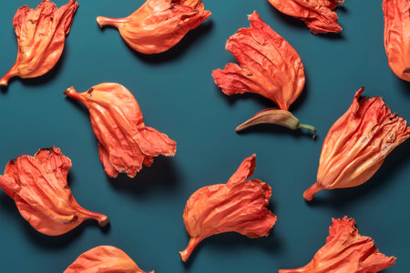 Bright orange crumpled Asian flowers on a dark blue background. creative floral concept.の写真素材