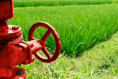 concept of irrigation. Red water faucet valve against the background of rice fields.の写真素材