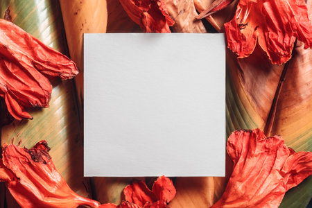 Creative layout of dead tropical leaves and flowers with a square note.の写真素材