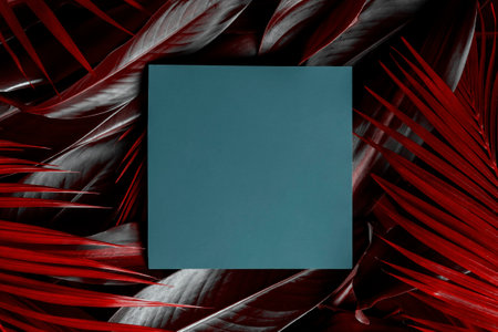 Creative nature layout of red tropical leaves with a blue square card.の写真素材