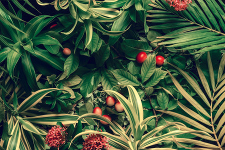 Creative tropical background. Leaves of tropical plants. top view. Concept of tropical nature.の写真素材