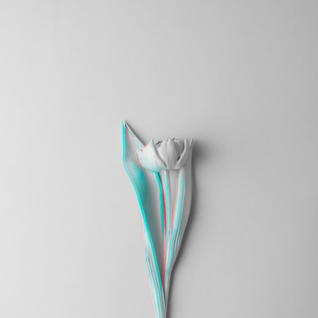 White tulip on gray background with glitch effect. Flat layer, top view.の写真素材