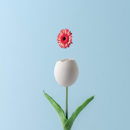 Creative Easter concept. Tulip with a white bud in the shape of an egg from which a red flower flies out.の写真素材