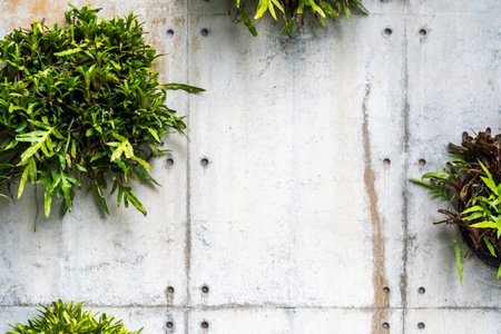 Vertical greenery on a concrete wall with lush green plants, creating modern urban and interior accentsの写真素材