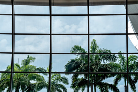 Green palm trees viewed through large glass panels against a sky filled with clouds, creating a serene tropical urban sceneの写真素材