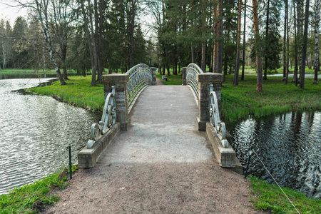 Stone pedestrian bridge leads into peaceful forest path over quiet river, capturing a tranquil moment in lush green park during daylight.の写真素材