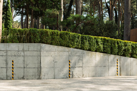Modern concrete retaining wall with trimmed green hedge and safety posts stands in a pine forest, illustrating landscape architecture and urban safety.の写真素材