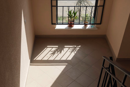Sunlit stair landing by window with potted plants in late morning, sharp plant shadows on tile and...