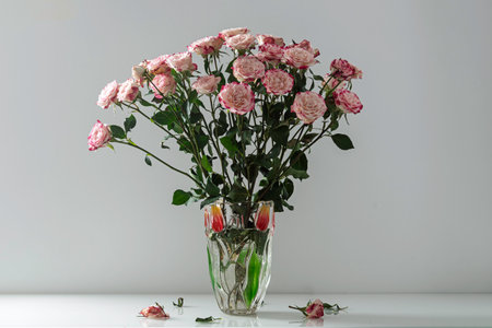 Soft pink roses in tall glass vase stand on white table, create gentle festive mood and warm peaceful sense of home celebrationの写真素材