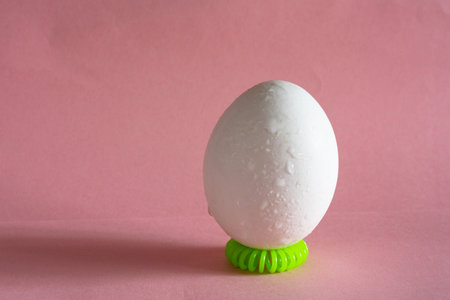 chicken egg on pink pastel background with water drops on shell. decor for Easter