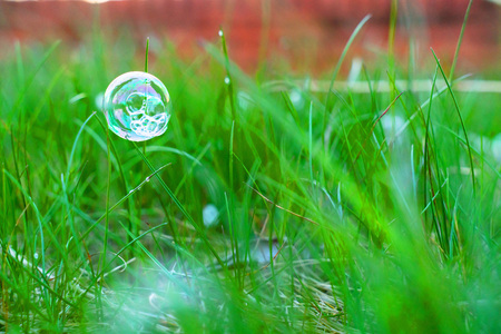 soap bubbles on green spring grass with beautiful blurred background. natural summer and spring backgroundの写真素材