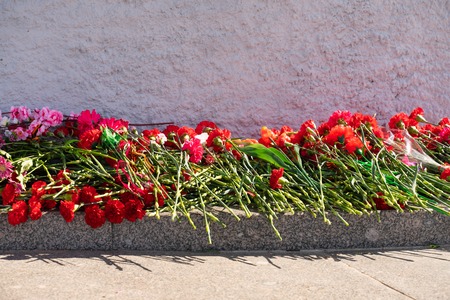 Red carnation flowers at the memorial to fallen soldiers in the world war II.holiday eventの写真素材