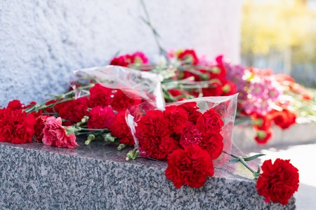 Red carnation flowers at the memorial to fallen soldiers in the world war II.holiday eventの写真素材