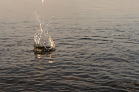 beautiful splash of water in the sea at sunset. natural desktop background