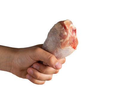 fresh meat chicken legs in hand on white isolated background. cooking foodの写真素材