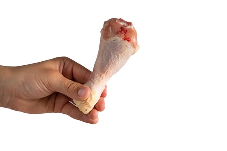 fresh meat chicken legs in hand on white isolated background. cooking foodの写真素材