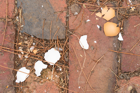Eggshell on the stone floor close-up. chicken egg crushed. the feed for the chickens