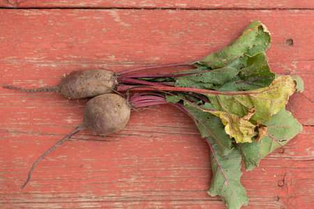 fresh beets on an old vintage wooden table. rustic background with space for text