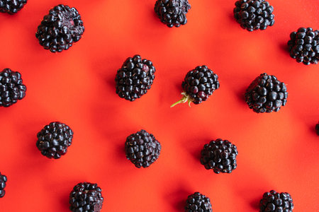 ripe fresh blackberries on a red background top view. template for the website. fruits and healthy...