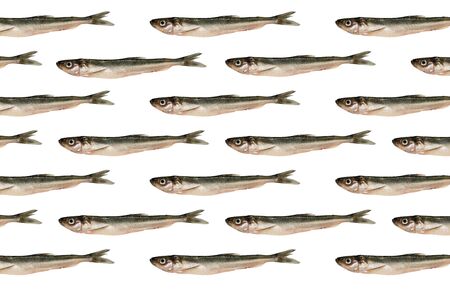 fresh smelt fish close-up on a white isolated background . food and seafoodの写真素材