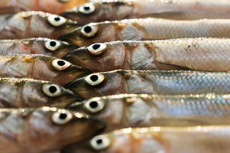 fresh small smelt fish close-up as background. food and seafoodの写真素材