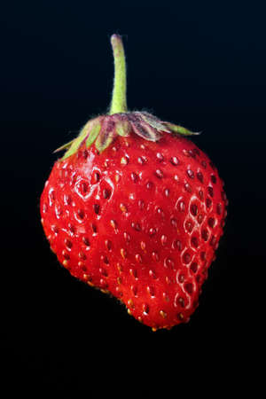 one ripe red strawberry on a black background close-upの写真素材