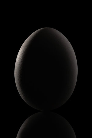 outlining the contours of a chicken egg on a black backgroundの写真素材