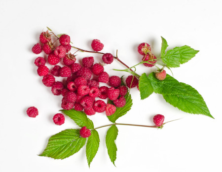 raspberry branch with berries on a white backgroundの写真素材