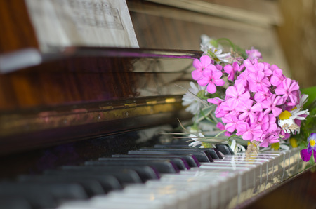 bouquet of summer flowers: the garden and field lies on a piano.の写真素材