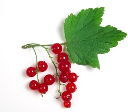 two brushes of berries of red currant lie on a white surfaceの写真素材
