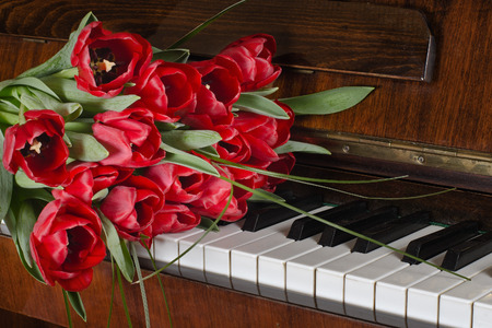 A bouquet of red tulips lying on the piano keysの写真素材