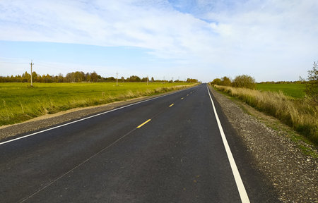 The road with white and yellow markings going to the horizon. In the background you can see a...