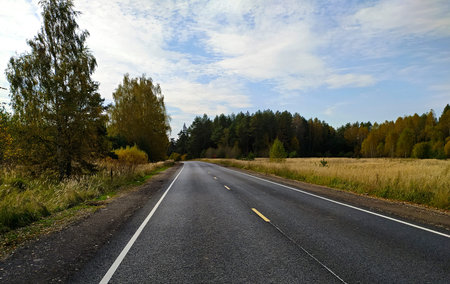 Empty asphalt road against the background of autumn landscape