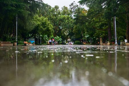 Street The wet road after a rainの写真素材