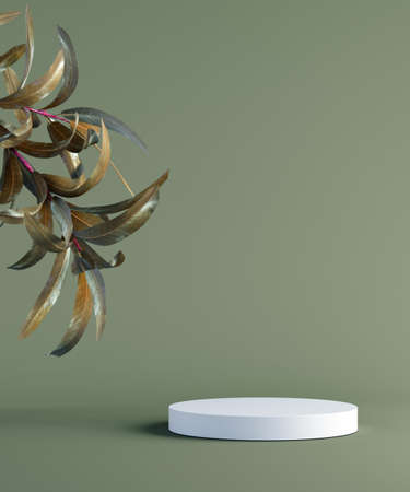 Empty showcase podium for natural cosmetic presentation. Green leaves on monotone background. 3d illustrationの写真素材