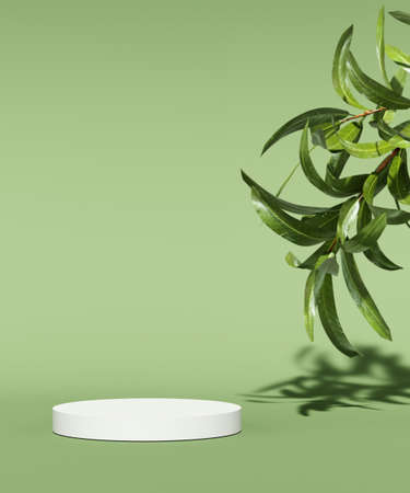 Showcase podium for natural cosmetic product. Empty scene with green leaves on monochrome background. 3d renderの写真素材