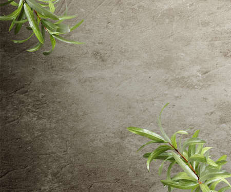 Kitchen stone table with leaves. Background for product presentation. 3d illustration.の写真素材