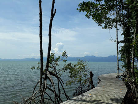 The walkway between the mangrove forest and the sea. In the background, there are mountains and clear skies.の写真素材