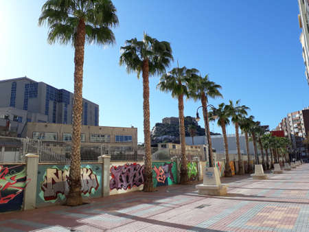 Urban palm trees and graffiti walls on pedestrian streets. Behind there are tall buildings and hills with ancient fortresses.の写真素材