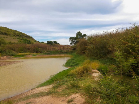 A pond in a tropical fieldの写真素材