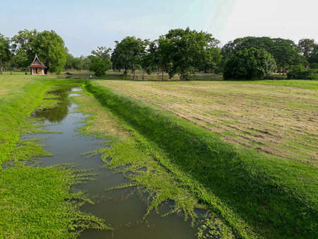 canal covered with plantsの写真素材