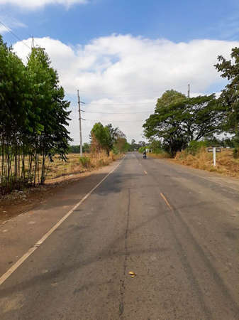 Road with trees by the waysideの写真素材