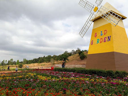 Colorful flower fields with windmillの写真素材