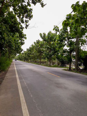 An open road with trees along the wayの写真素材