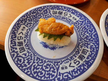Sea urchin egg on a white plate with blue patternの写真素材
