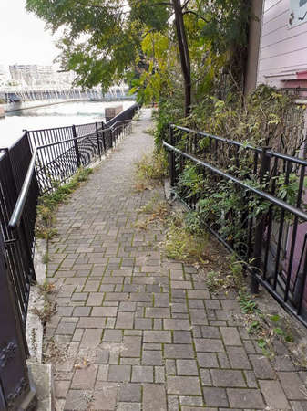 The grassy riverside walkway was fenced with black fences.の写真素材