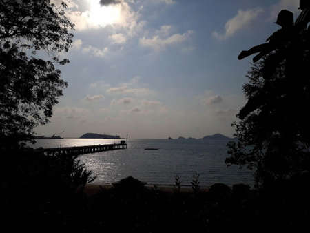 Silhouette of trees and pier on a calm day, clear skyの写真素材