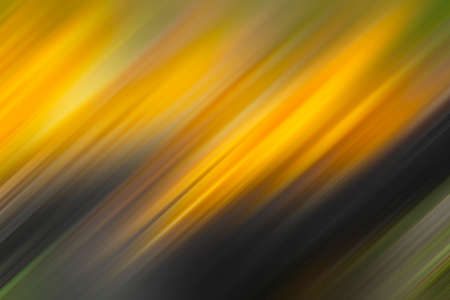 background. Summer colored defocused background. summer texture.の写真素材