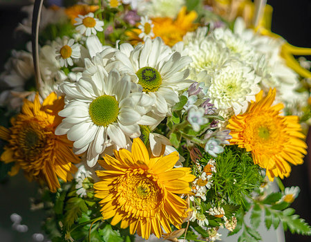 Beautiful bouquet of gerberas and wild flowers close-up.の写真素材
