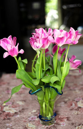 Pink tulips in a vase on a dark background. Spring tulip flowers. Easter or Valentines Day greeting card.の写真素材